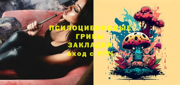 круглые Алексеевка