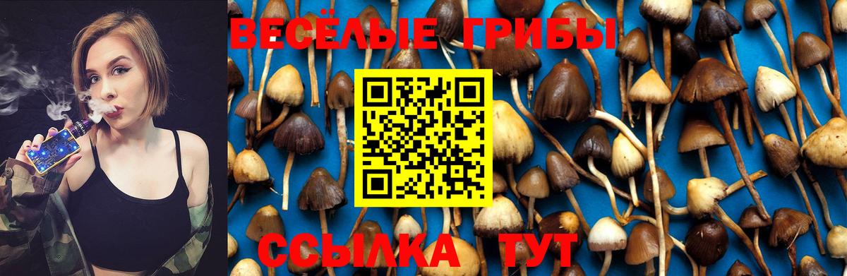 Галлюциногенные грибы Magic Shrooms  купить наркотик  Джанкой  Вход с VPN  Псилоцибиновые грибы мицелий 